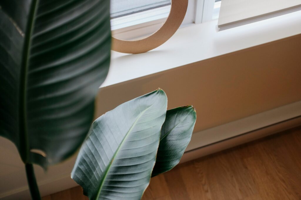 Whispers of the Forest